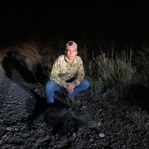 Meet your Posher, Bernardo